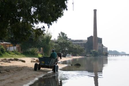Blick am Strand entlang